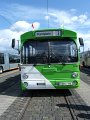 Trammoldie   029